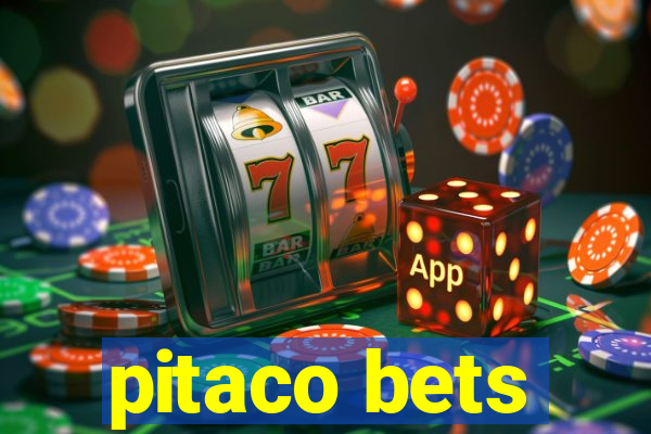 pitaco bets